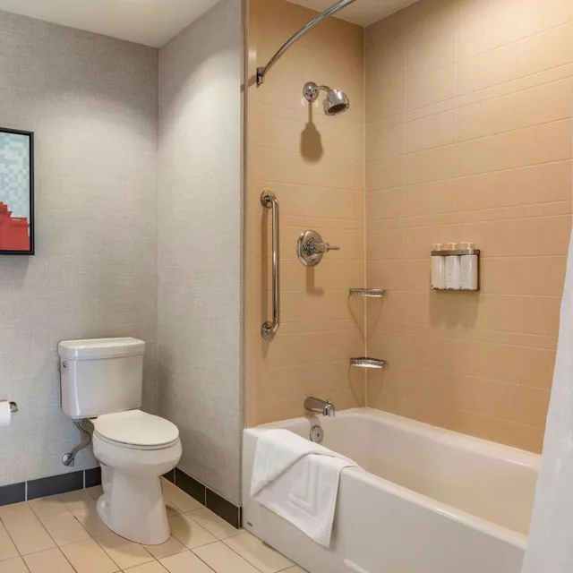 جناح بسرير كينج بغرفة نوم واحدة مع أريكة، Cambria Hotel Madison East 5/5
