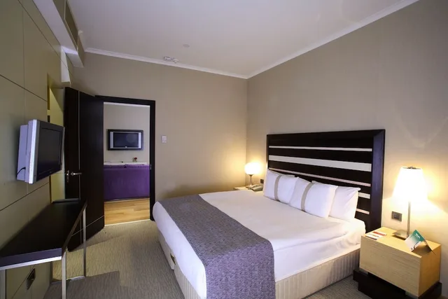 Senior, Suite, King Bed، Sundance Hotel Istanbul 1/1