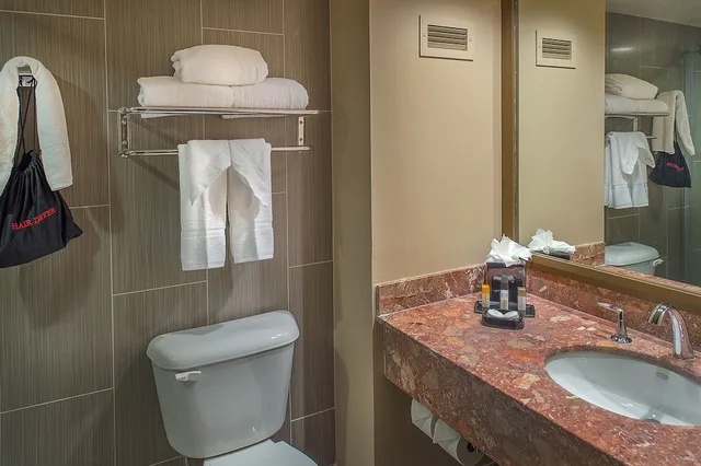 King Bed, Arch View، HoteLumiere at the Arch Saint Louis - A Caesars Rewards Destination 2/2