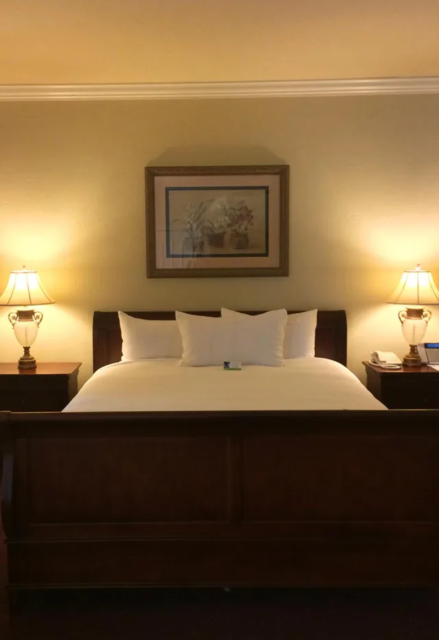 غرفة سوبيريور بسرير كينج، Carlton Hotel 4/9