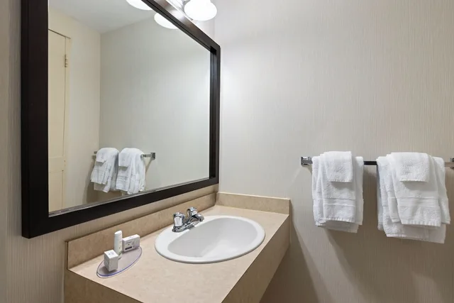 غرفة بزنس بسرير كينج، Travelodge by Wyndham Thunder Bay 9/9