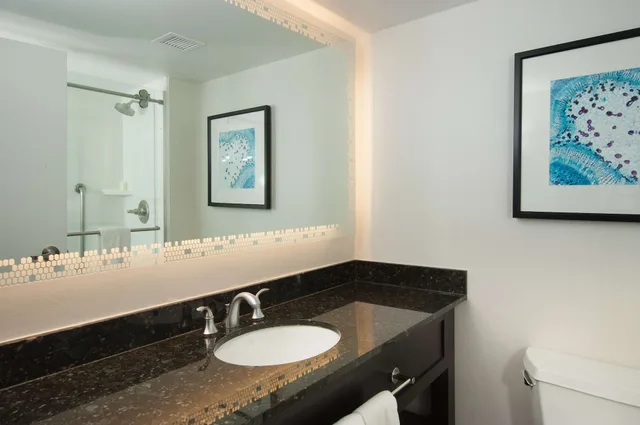 Premium, Suite, 1 King or 2 Double Beds، Embassy Suites by Hilton Raleigh Crabtree 6/6