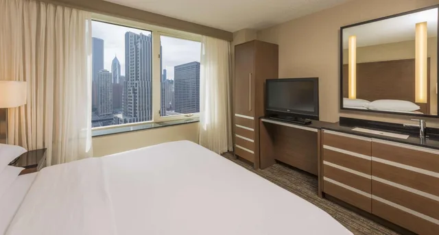 جناح بريميوم بسرير كينج بغرفة نوم واحدة مع أريكة، Embassy Suites by Hilton Chicago Downtown Magnificent Mile 1/6