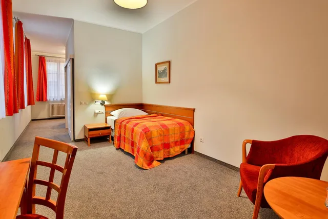 غرفة مفردة، Hotel Dvorak Tabor 4/8