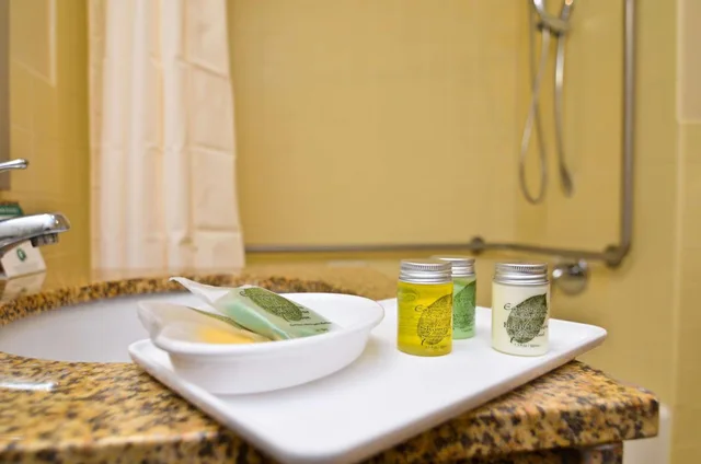 غرفة بسريرين كوين بحوض استحمام لذوي الإعاقة، Best Western Plus the Inn And Suites At the Falls 10/10