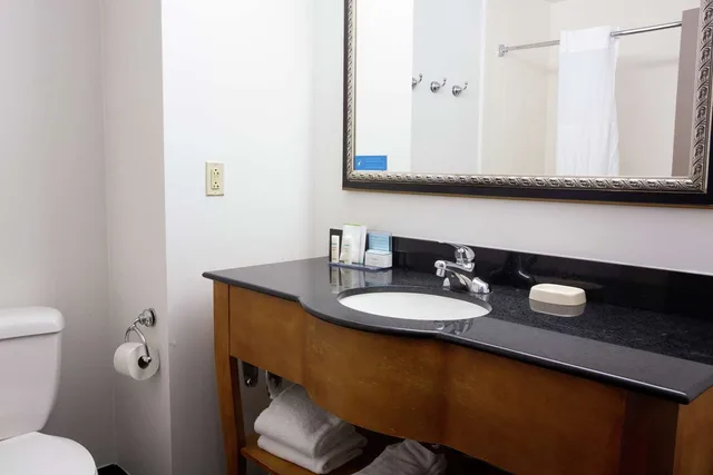 جناح استوديو بسرير كينج مع أريكة، Hampton Inn & Suites Chesapeake-Square Mall 3/4