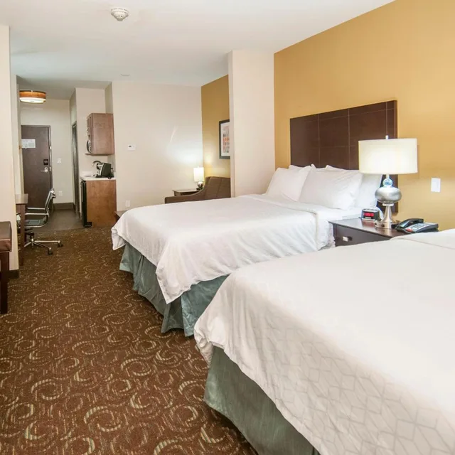 جناح بسرير كوين لذوي الإعاقة، Holiday Inn Express Suites San Antonio Se By At T Center 1/4