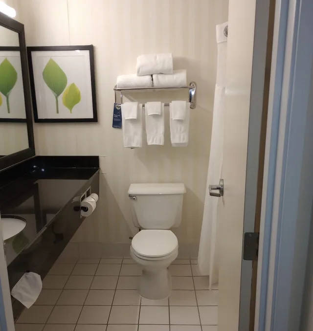 Room, King Bed, Accessible, Fairfield Inn Suites By Marriott Canton 4/7
