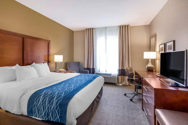 غرفة قياسية بسرير كينج، Comfort Inn & Suites Lynchburg Airport - University Area 9/10