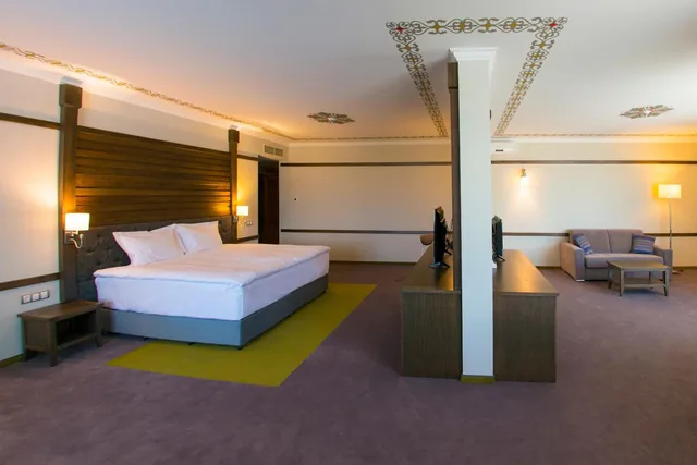 Suite, Single Bed, Hot Springs Medical & Spa Hotel 3/10