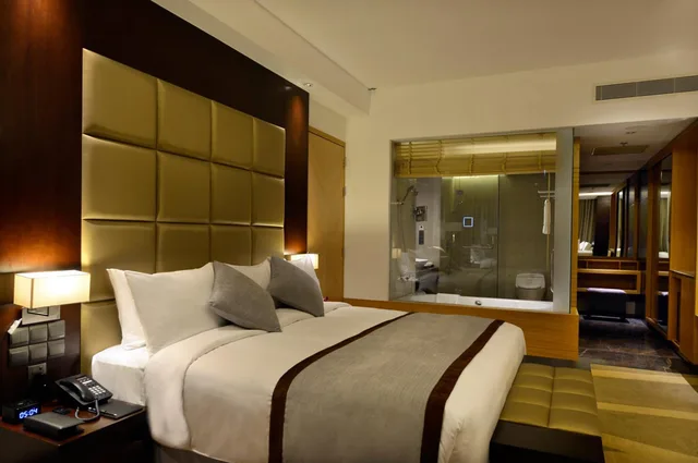 Business Class Room (Ig)، Radisson Blu Chattogram Bay View 4/6