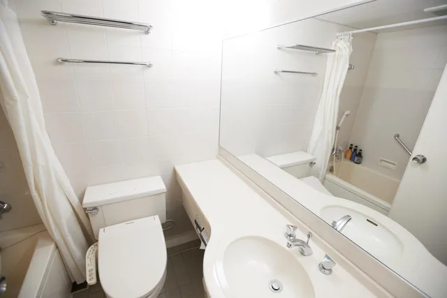 Standard, Twin Beds, Myogi Green Hotel 2/3