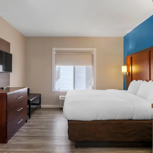 جناح بسرير كينج مع أريكة، Comfort Suites St Charles-St Louis 6/10