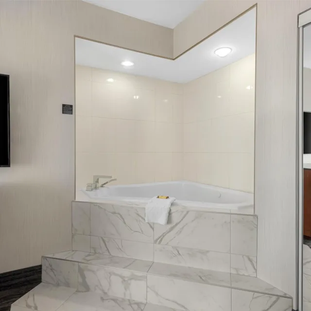 جناح بسرير كوين بجاكوزي، Best Western Plus Suites Downtown 10/10
