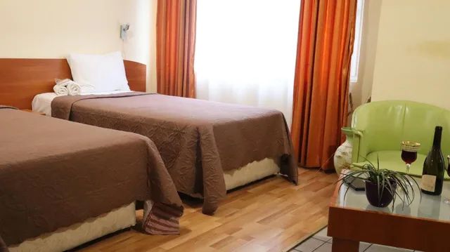 غرفة ديلوكس بسريرين منفصلين، Palitra Family Hotel 5/9
