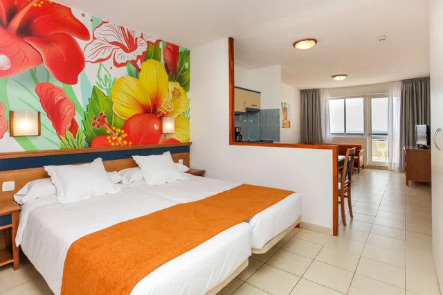 استوديو مفرد بإطلالة على البحر بشرفة، Apartamentos Palm Garden 2/3