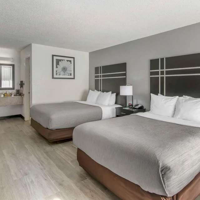 جناح بسرير كوين، Quality Inn & Suites Hardeeville - Savannah North 1/9