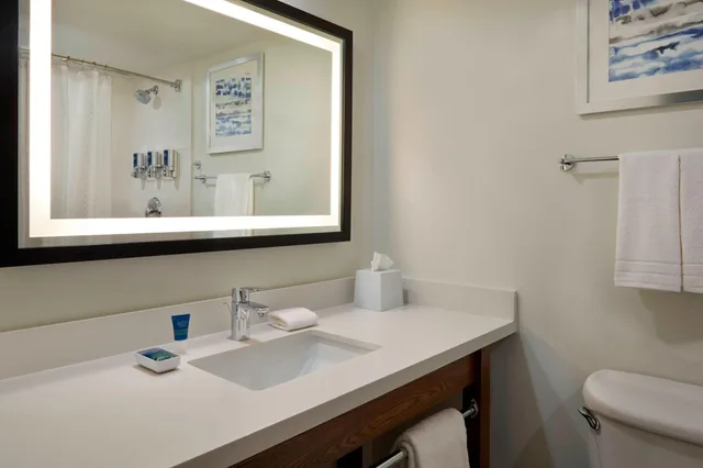 غرفة تقليدية بسريرين كوين، Four Points By Sheraton Toronto Airport 3/3