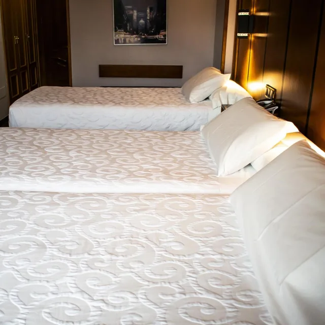 غرفة بسرير مزدوج أو سريرين منفصلين مع سرير إضافي، Hotel Condestable Iranzo 4/8