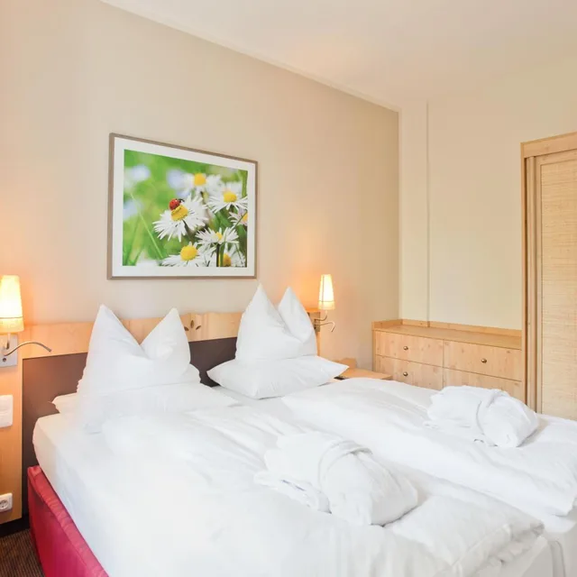 جناح، H+ Hotel & Spa Friedrichroda 1/3