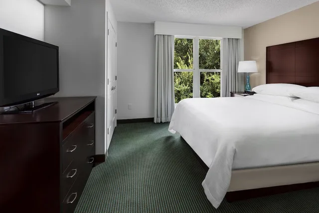 جناح ديلوكس بسرير كينج لذوي الإعاقة، Embassy Suites by Hilton Orlando Lake Buena Vista Resort 4/5