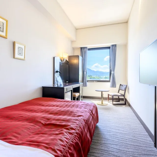 Economy, Double Bed, Miyajima Coral 1/5