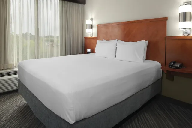 Suite, King Bed, Sofa, Accessible, Hyatt Place Nashville Opryland 1/4