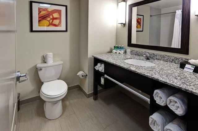 غرفة قياسية بسرير كينج لذوي الإعاقة، Holiday Inn Express & Suites Wichita Northwest Maize K-96 5/5