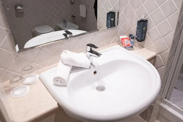 Room, Double Bed, Small, Attic، Th Roma Carpegna Palace 5/6