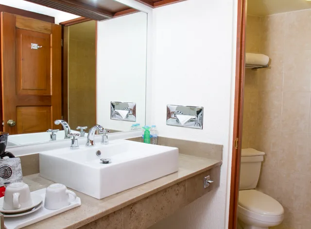 غرفة قياسية مفردة، Viva Villahermosa 3/3