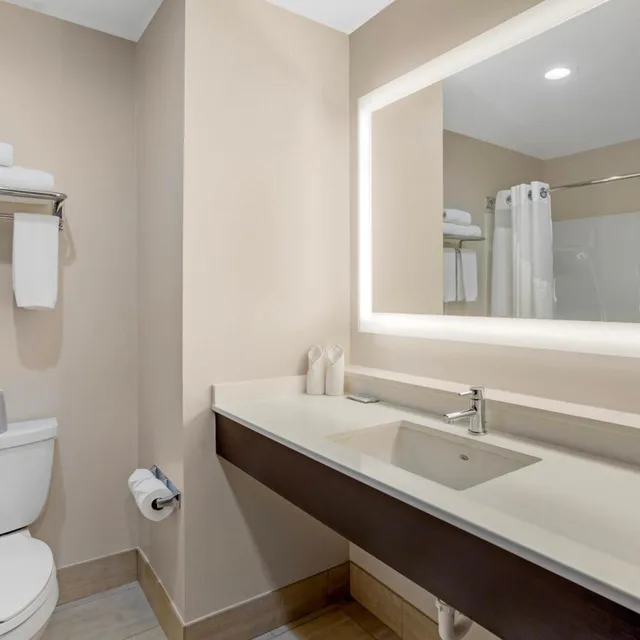 Suite, King Bed, Sofa, Holiday Inn Express Hotel & Suites Newton Sparta 5/10