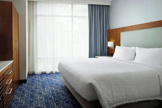 1 Bedroom, Suite, King Bed, Bunk Bed, Sofa, Springhill Suites By Marriott At Anaheim Resort Area Convention Center 1/2