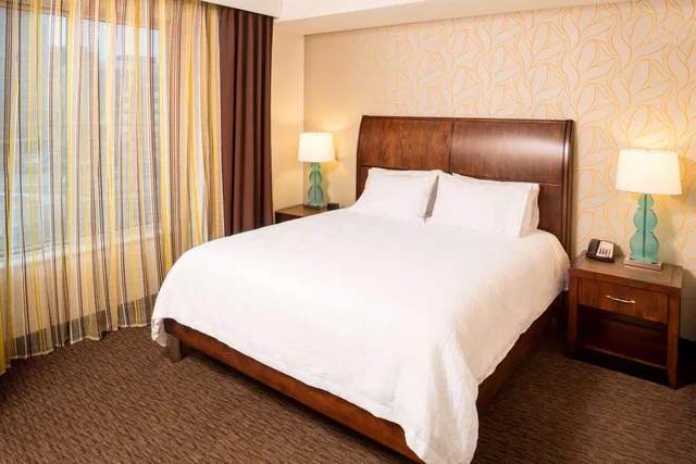 جناح جونيور بسرير كينج بإطلالة لذوي الإعاقة، Hilton Garden Inn Sioux Falls Downtown 1/3