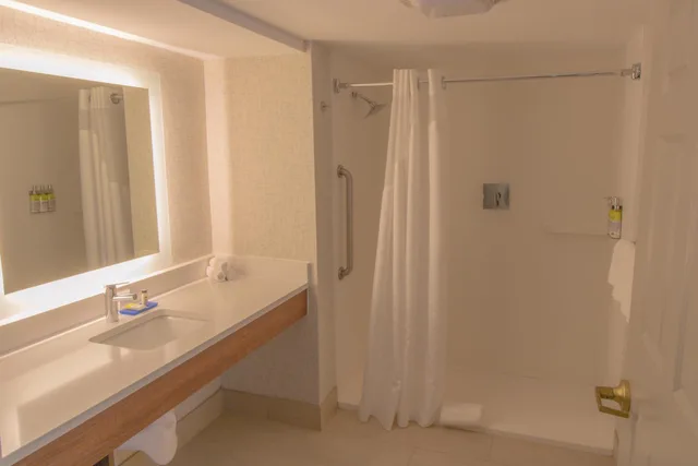 Standard, King Bed, Accessible, Holiday Inn Express Hotel And Suites Manassas 2/4