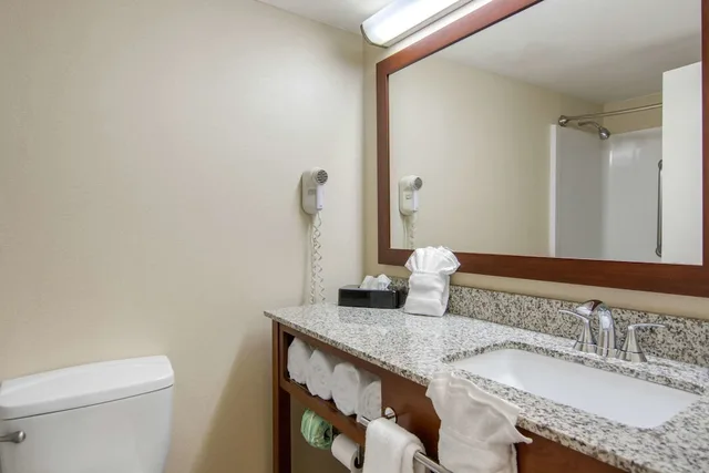 غرفة بسرير كينج لذوي الإعاقة، Comfort Inn Chester - Richmond South 7/10