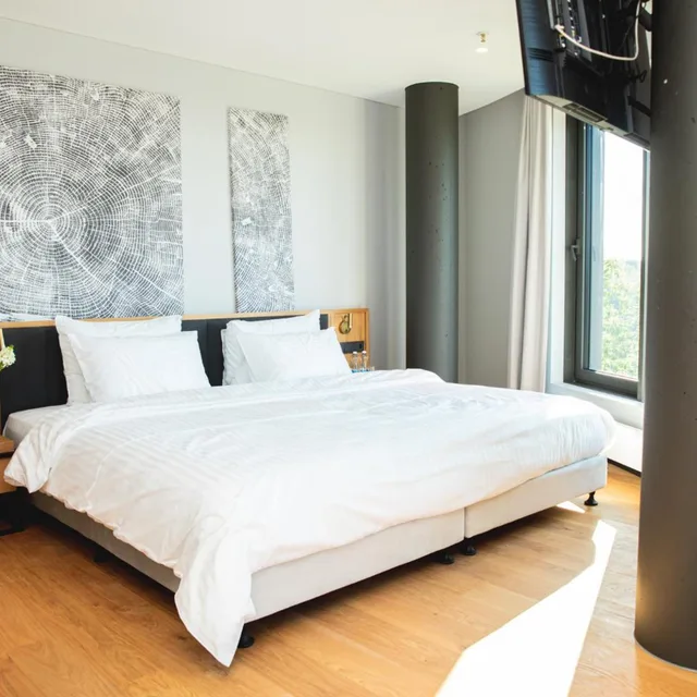 Deluxe, Suite, Pool Access، Vilnius Grand Resort 1/7