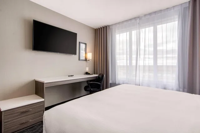 غرفة قياسية بسرير كينج، Comfort Inn and Suites North Battleford, SK 2/8