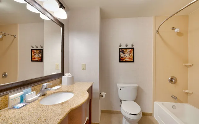 Study, King Bed, Accessible، Hampton Inn And Suites Show Low Pine Top 10/10