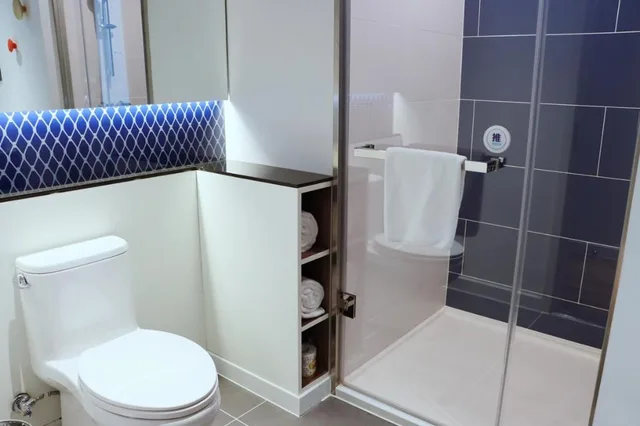 غرفة قياسية بسرير كينج للمدخنين، HOLIDAY INN EXPRESS Changchun Jingyue 4/4
