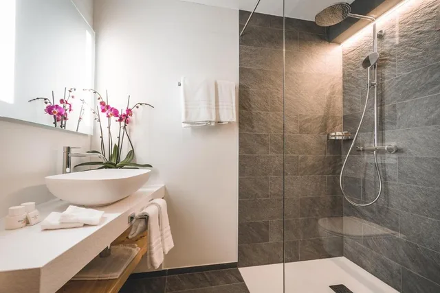 غرفة عصرية بسرير مزدوج، Laudinella Hotel 7/8