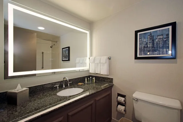 غرفة تنفيذية بسرير كينج، DoubleTree by Hilton Hotel Newark Airport 3/3