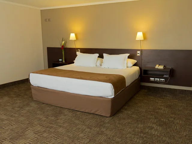 غرفة قياسية، Hotel Director Vitacura 2/6