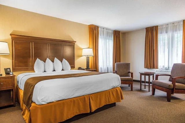 Superior, King Bed, The Black Swan Lee Lenox An Ascend Collection Hotel 4/10