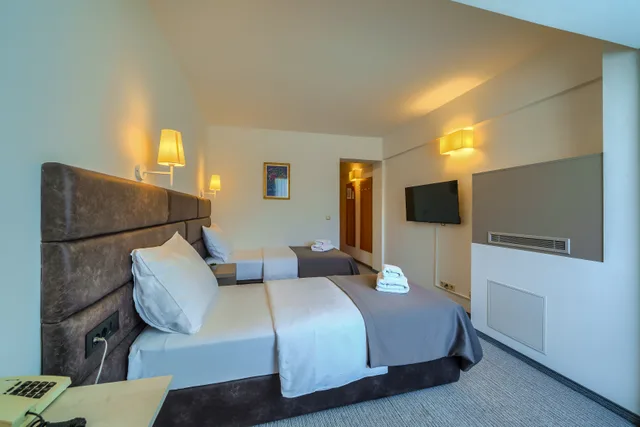 غرفة كومفورت بسرير مزدوج أو سريرين منفصلين، Hotel Alkar 1/8