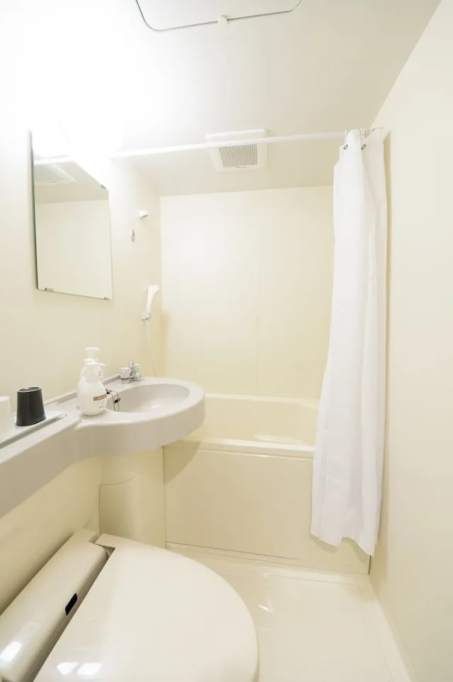 غرفة مفردة بسرير مزدوج، Dormy Inn Express Mikawa Anjo 3/3
