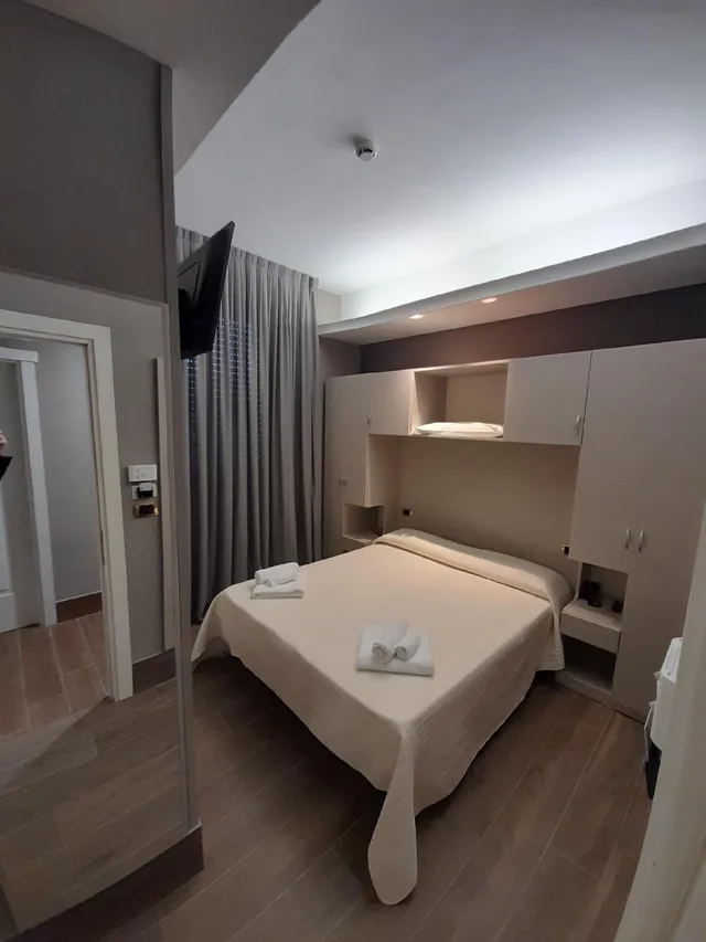 غرفة مفردة بسرير مزدوج، Hotel Royal Plaza 2/2