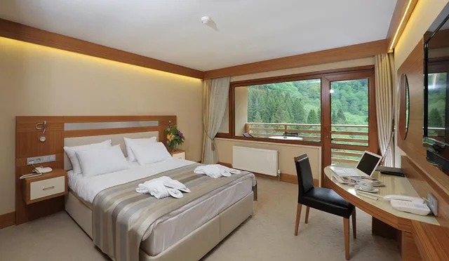 غرفة قياسية بسرير مزدوج أو سريرين منفصلين، KACKAR RESORT HOTEL 3/10