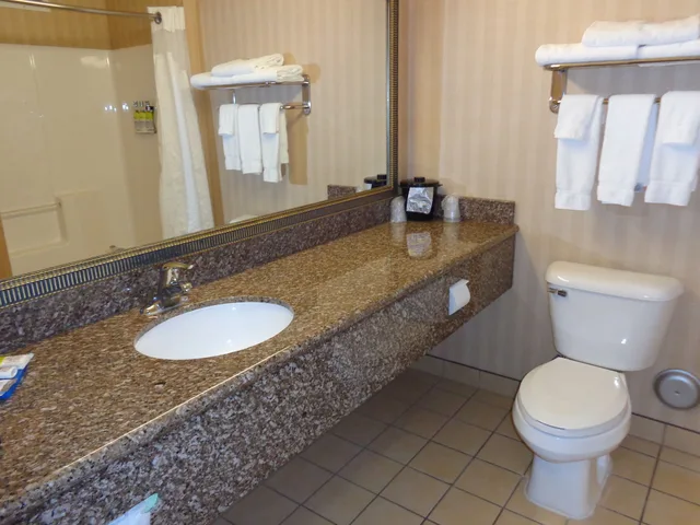 Standard, King Bed, Holiday Inn Express Suites New Buffalo 2/2