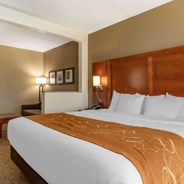 جناح ديلوكس بسرير كينج، Comfort Suites Grand Rapids South 1/5