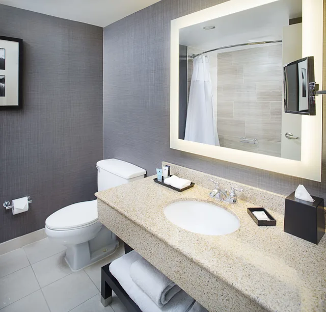 غرفة قياسية بسرير كينج، Crowne Plaza Annapolis Hotel 5/6
